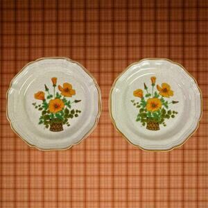 Mikasa Garden Club VTG Petunias EC 401 Set of 2 Salad Dessert Plates 8" Diameter